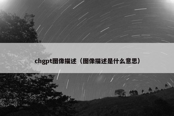 chgpt图像描述（图像描述是什么意思）