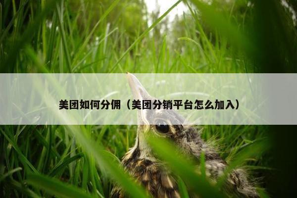 美团如何分佣（美团分销平台怎么加入）