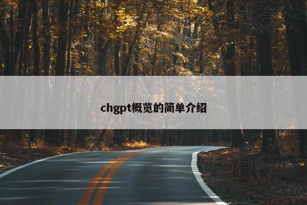 chgpt概览的简单介绍