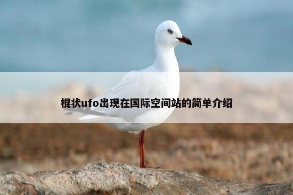 棍状ufo出现在国际空间站的简单介绍