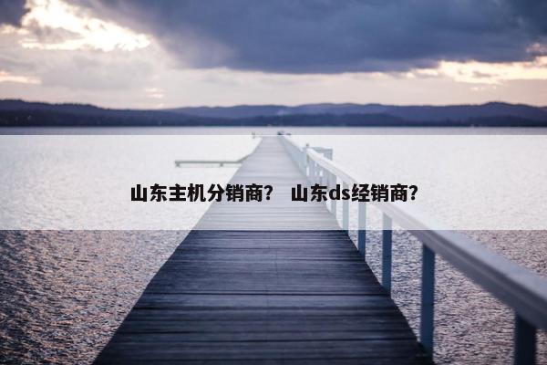 山东主机分销商？ 山东ds经销商？