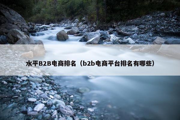 水平B2B电商排名（b2b电商平台排名有哪些）