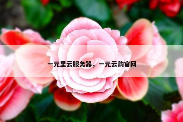 一元里云服务器，一元云购官网