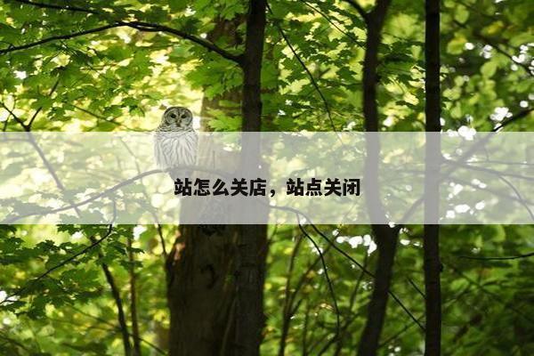 站怎么关店，站点关闭
