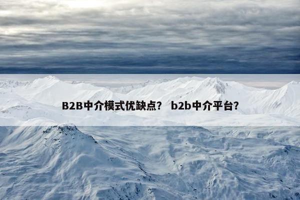 B2B中介模式优缺点？ b2b中介平台？