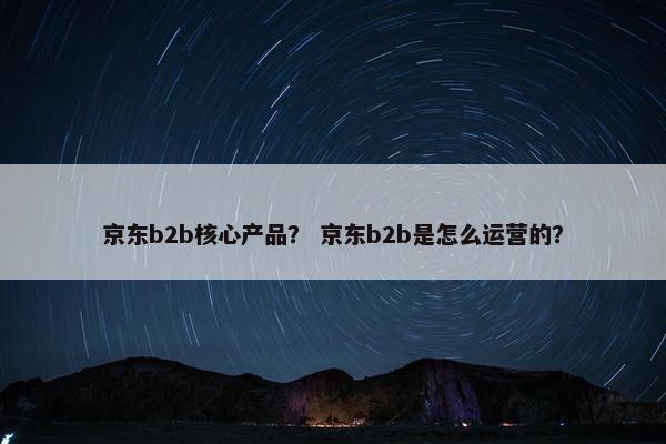 京东b2b核心产品？ 京东b2b是怎么运营的？