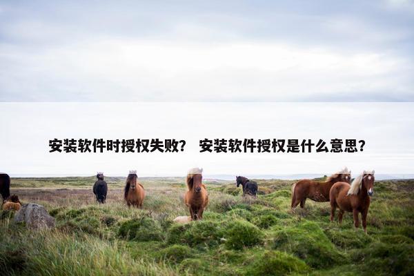 安装软件时授权失败？ 安装软件授权是什么意思？
