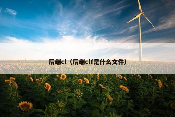 后端cl（后端clf是什么文件）