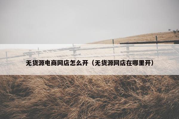 无货源电商网店怎么开（无货源网店在哪里开）