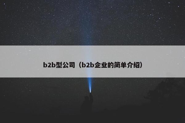 b2b型公司（b2b企业的简单介绍）