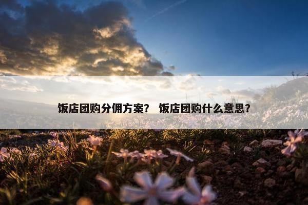 饭店团购分佣方案？ 饭店团购什么意思？