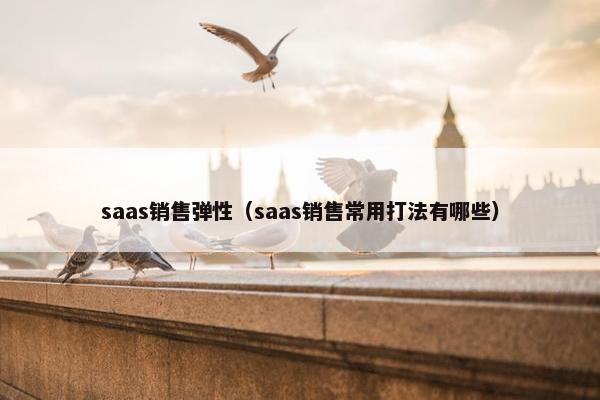 saas销售弹性（saas销售常用打法有哪些）