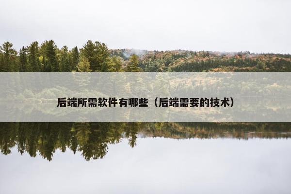 后端所需软件有哪些（后端需要的技术）