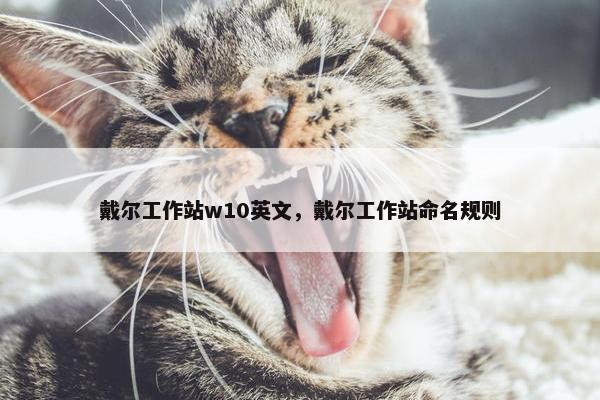 戴尔工作站w10英文，戴尔工作站命名规则