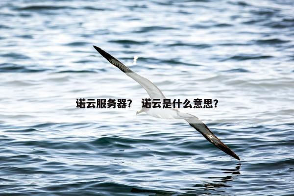 诺云服务器？ 诺云是什么意思？