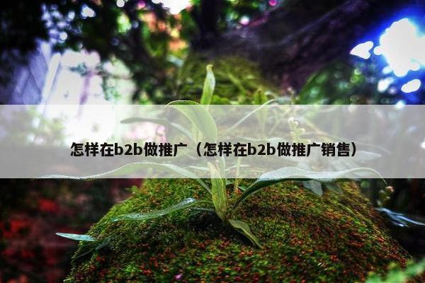 怎样在b2b做推广（怎样在b2b做推广销售）