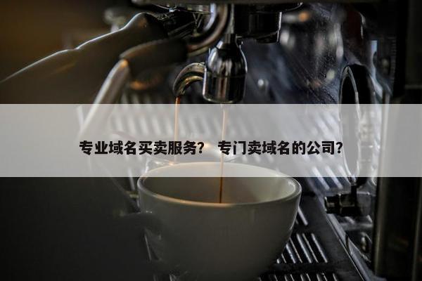 专业域名买卖服务？ 专门卖域名的公司？
