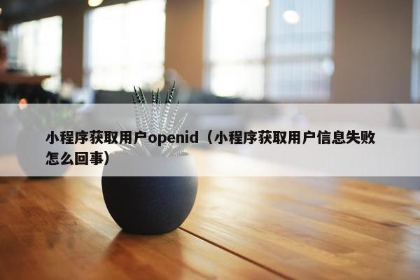 小程序获取用户openid（小程序获取用户信息失败怎么回事）