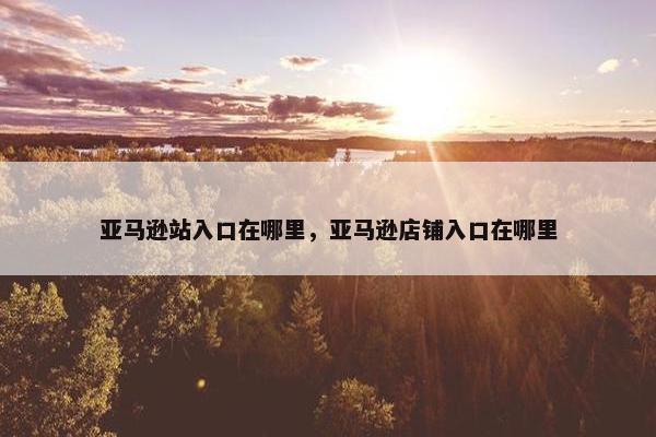 亚马逊站入口在哪里，亚马逊店铺入口在哪里