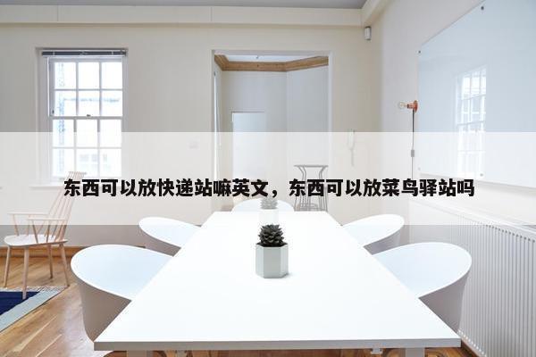 东西可以放快递站嘛英文，东西可以放菜鸟驿站吗