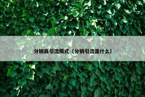 分销商引流模式（分销引流是什么）