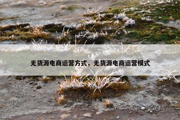 无货源电商运营方式，无货源电商运营模式