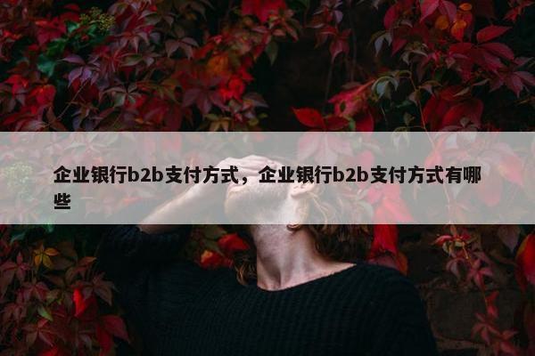 企业银行b2b支付方式，企业银行b2b支付方式有哪些