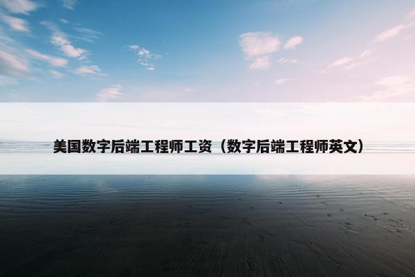 美国数字后端工程师工资（数字后端工程师英文）