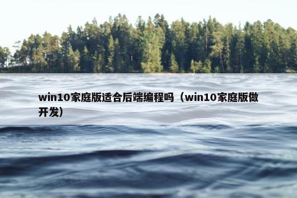 win10家庭版适合后端编程吗（win10家庭版做开发）