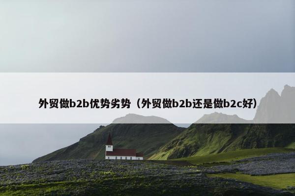 外贸做b2b优势劣势（外贸做b2b还是做b2c好）