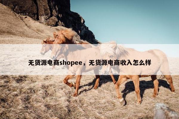 无货源电商shopee，无货源电商收入怎么样