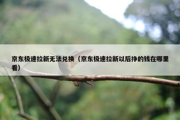 京东极速拉新无法兑换（京东极速拉新以后挣的钱在哪里看）