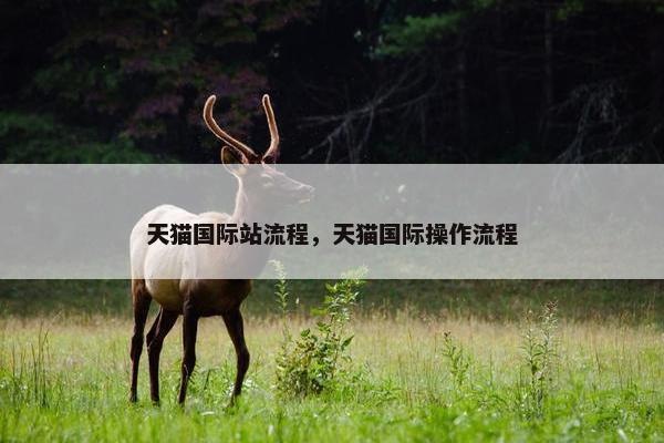 天猫国际站流程，天猫国际操作流程