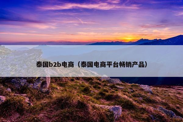 泰国b2b电商（泰国电商平台畅销产品）