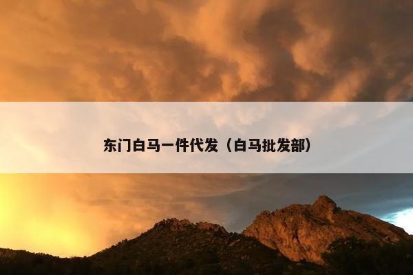 东门白马一件代发（白马批发部）