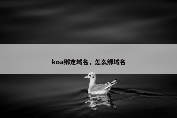 koa绑定域名，怎么绑域名