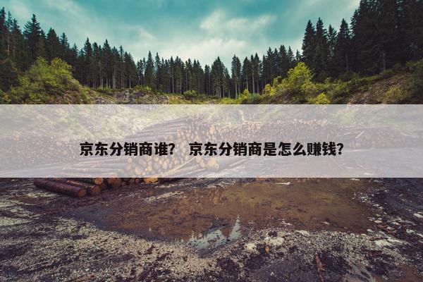 京东分销商谁？ 京东分销商是怎么赚钱？