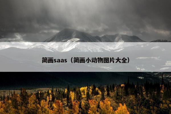 简画saas（简画小动物图片大全）