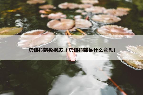 店铺拉新数据表（店铺拉新是什么意思）