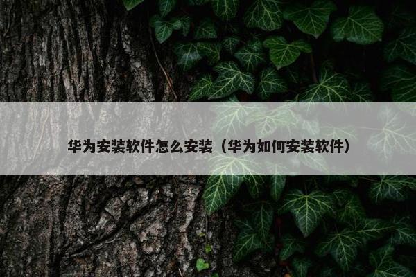 华为安装软件怎么安装（华为如何安装软件）