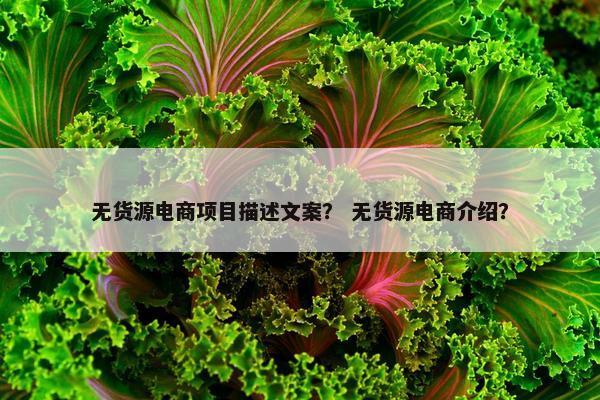 无货源电商项目描述文案？ 无货源电商介绍？