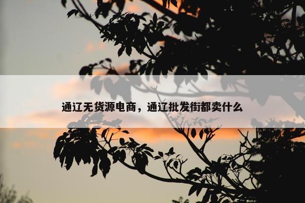 通辽无货源电商，通辽批发街都卖什么