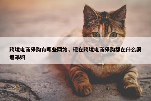 跨境电商采购有哪些网站，现在跨境电商采购都在什么渠道采购