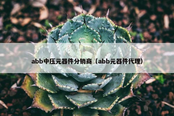 abb中压元器件分销商（abb元器件代理）