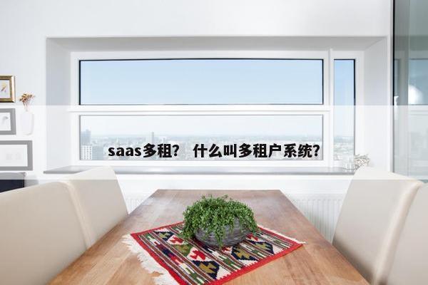 saas多租？ 什么叫多租户系统？