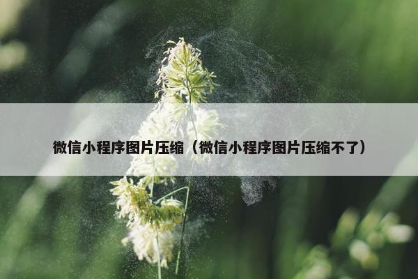 微信小程序图片压缩（微信小程序图片压缩不了）