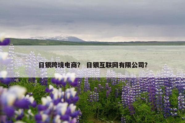 日银跨境电商？ 日银互联网有限公司？