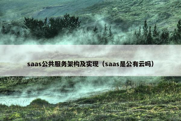 saas公共服务架构及实现（saas是公有云吗）