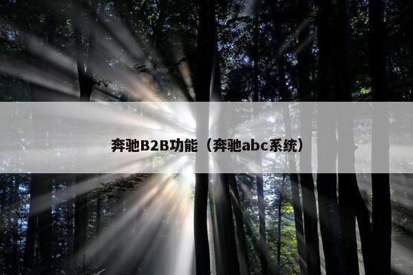 奔驰B2B功能（奔驰abc系统）