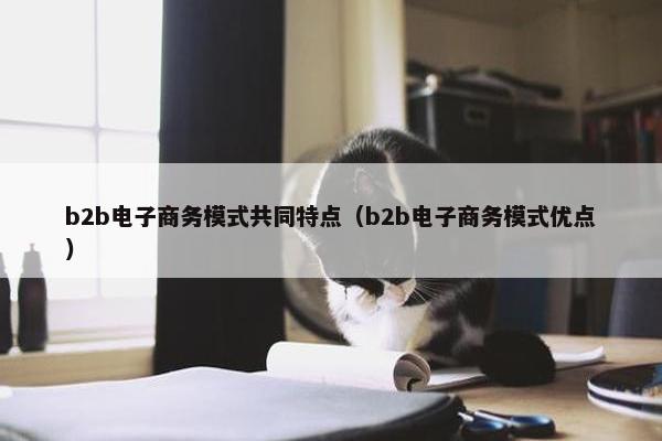b2b电子商务模式共同特点（b2b电子商务模式优点）